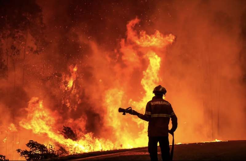 foresta in fiamme a memoria portogallo