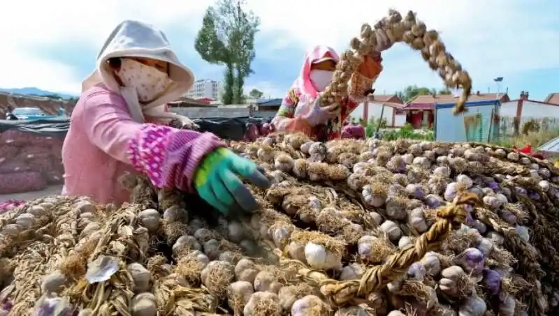 IN CINA SI PAGANO LE CASE CON PRODOTTI AGRICOLI 