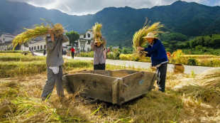 IN CINA SI PAGANO LE CASE CON PRODOTTI AGRICOLI