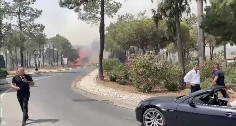 incendio nell algarve   portogallo 