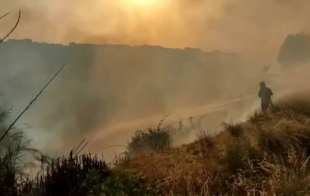 incendio pineta sacchetti