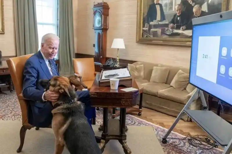 joe biden in isolamento con il cane