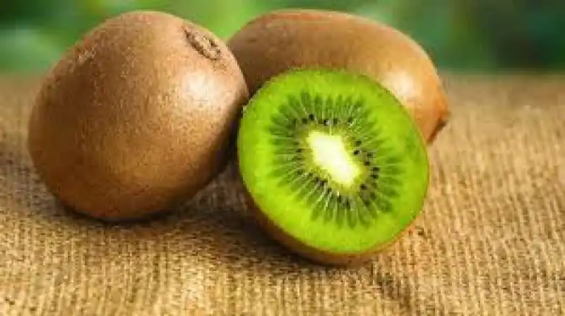 kiwi 10