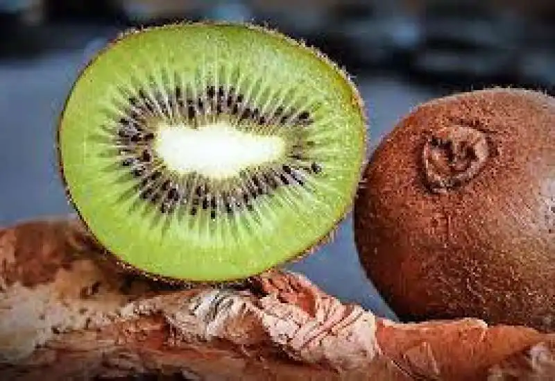 kiwi 4