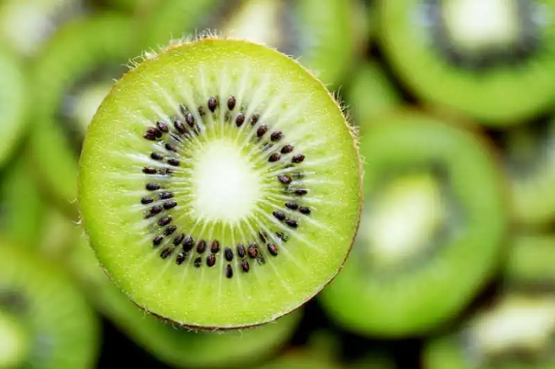 kiwi 6