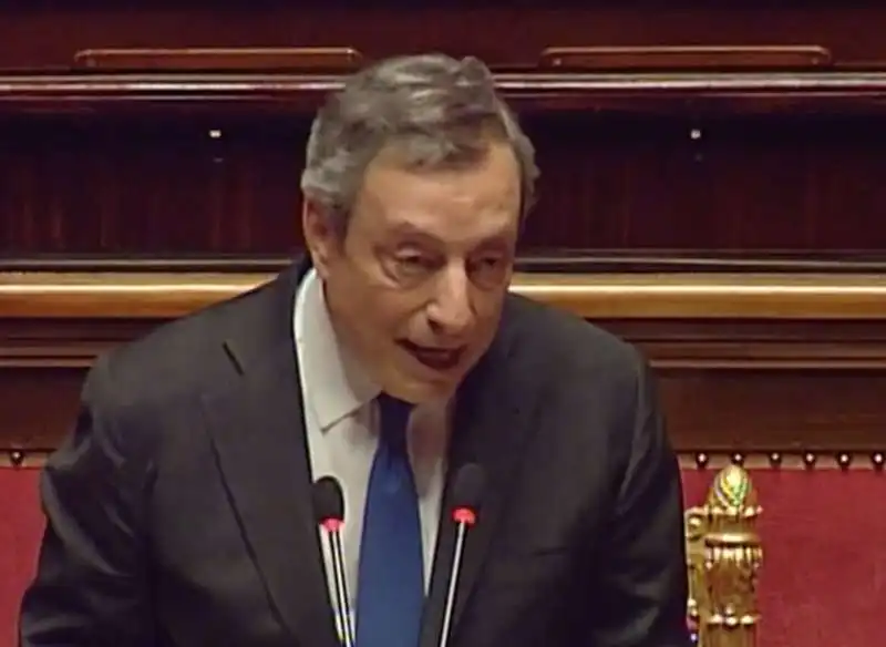 la replica di mario draghi al senato  2