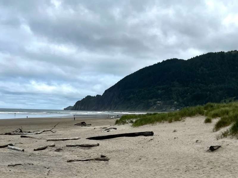 la spiaggia di nehalem bay dove e stato trovato il relitto