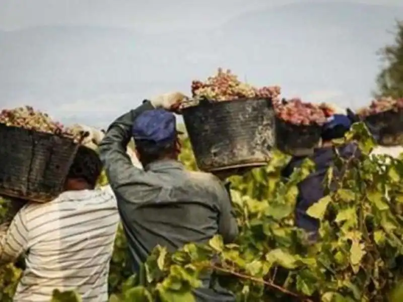 LAVORO POVERO 