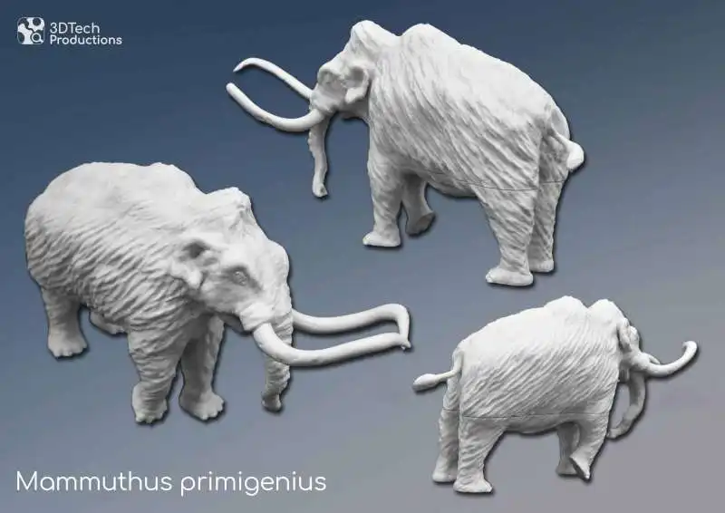 mammut 2