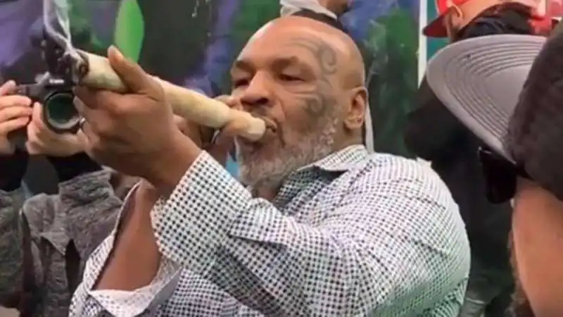 mike tyson marijuana 1