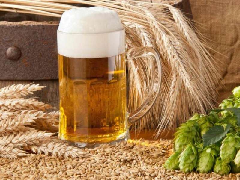 ORZO PER LA PRODUZIONE DEL MALTO DA BIRRA