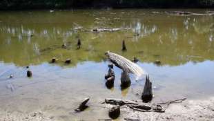 palafitte dell eta del bronzo emersi dal fiume oglio