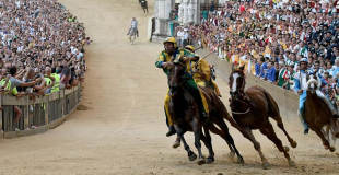 palio di siena