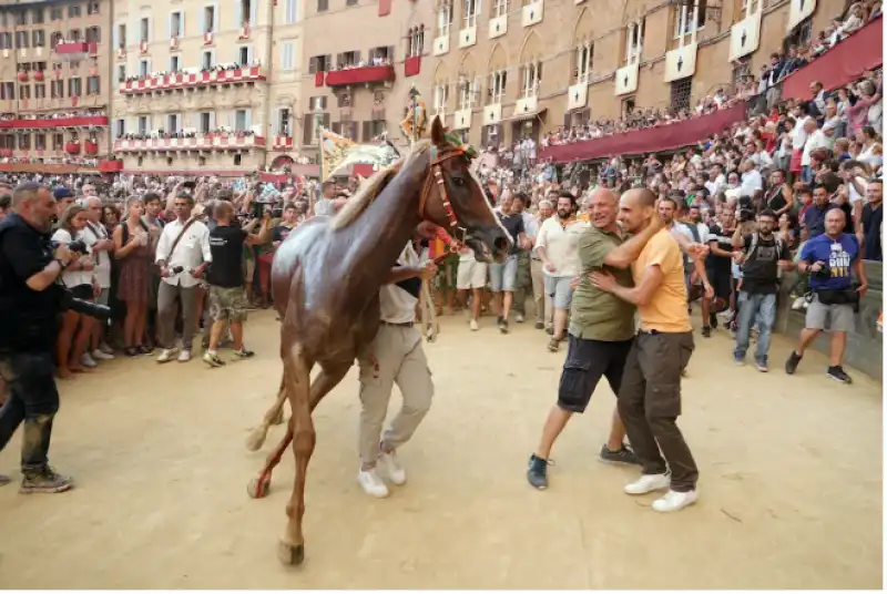 palio di siena vittoria della selva nel 2019