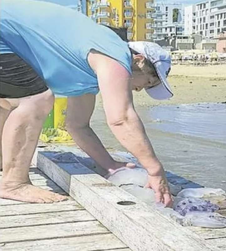 RACCOLTA MEDUSE IN SPIAGGIA A JESOLO