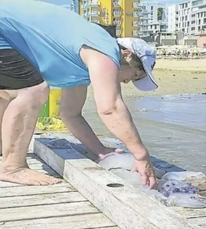 RACCOLTA MEDUSE IN SPIAGGIA A JESOLO 