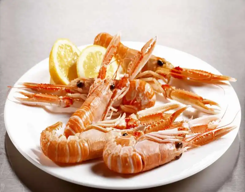 scampi