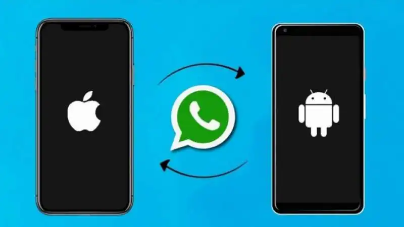 whatsapp MIGRAZIONE CHAT  ios ANDROID 