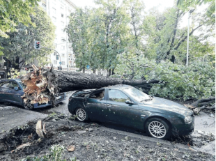 albero caduto a milano