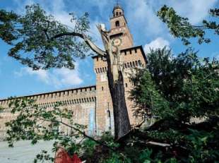 albero crollato davanti al castello sforzesco