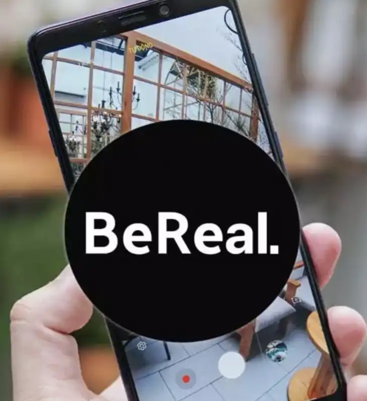 bereal 2