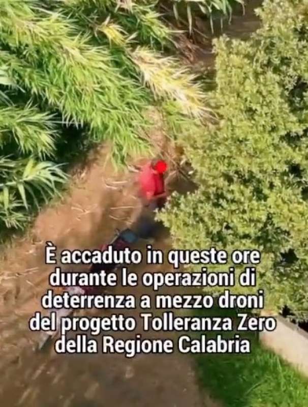 calabria - piromane beccato grazie a un drone