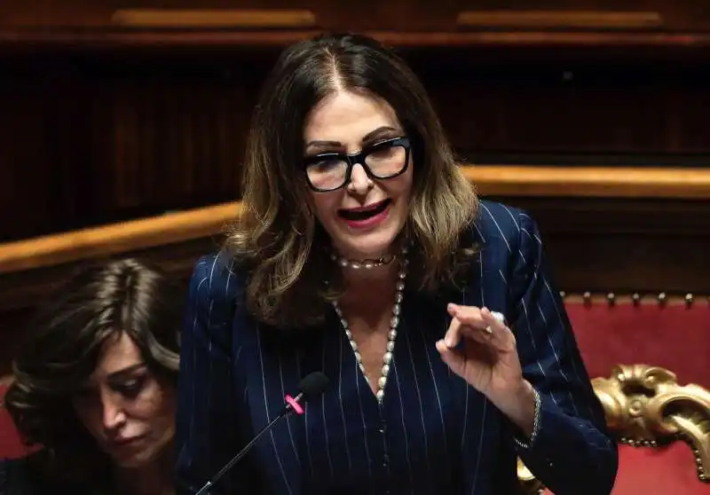 daniela santanche in senato