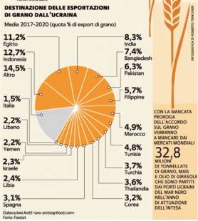 DESTINAZIONE DELLE ESPORTAZIONI DI GRANO DALL'UCRAINA