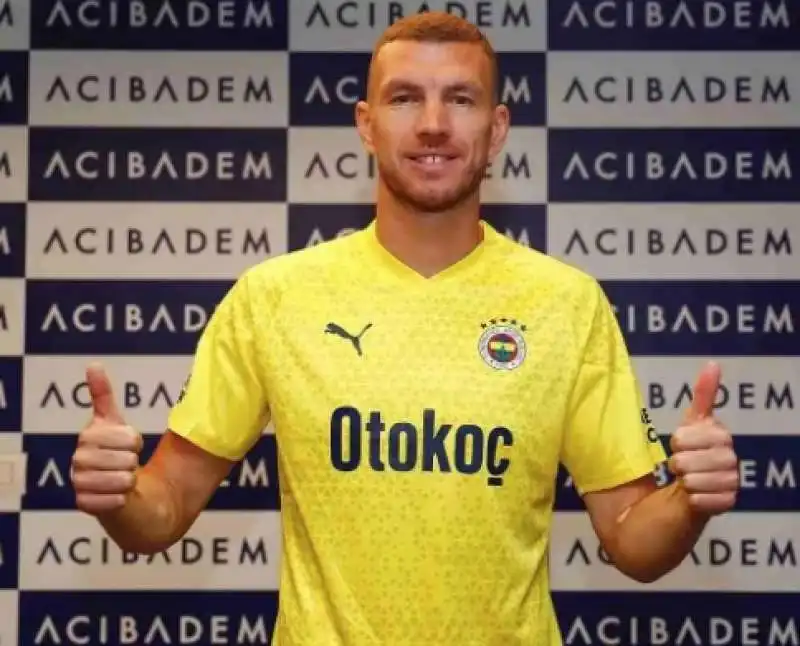 edin dzeko 