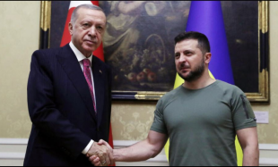 erdogan zelensky