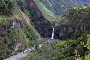 foresta amazzonica a presidente figueiredo brasile