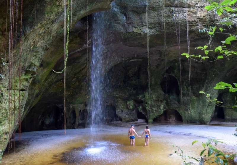 foresta amazzonica a presidente figueiredo brasile