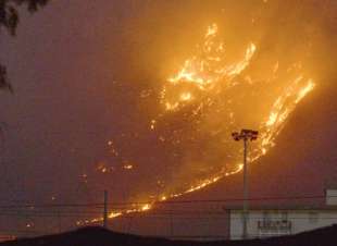 incendi a palermo 5