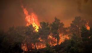 incendi a rodi 1