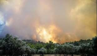 incendi a rodi