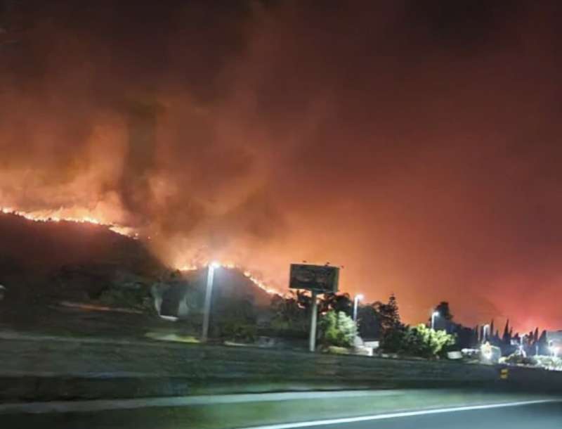 incendi nelle colline attorno a palermo 4