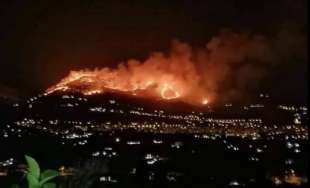 incendi nelle colline attorno a palermo 5