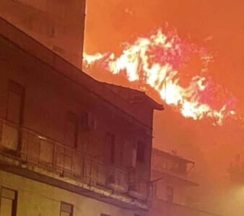 incendi nelle colline attorno a palermo 8