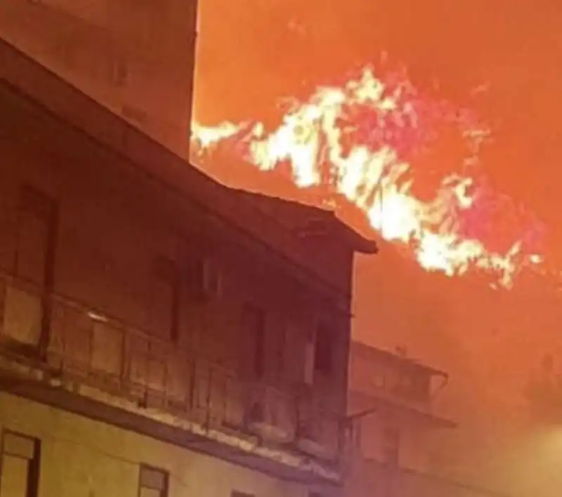 incendi nelle colline attorno a palermo    8