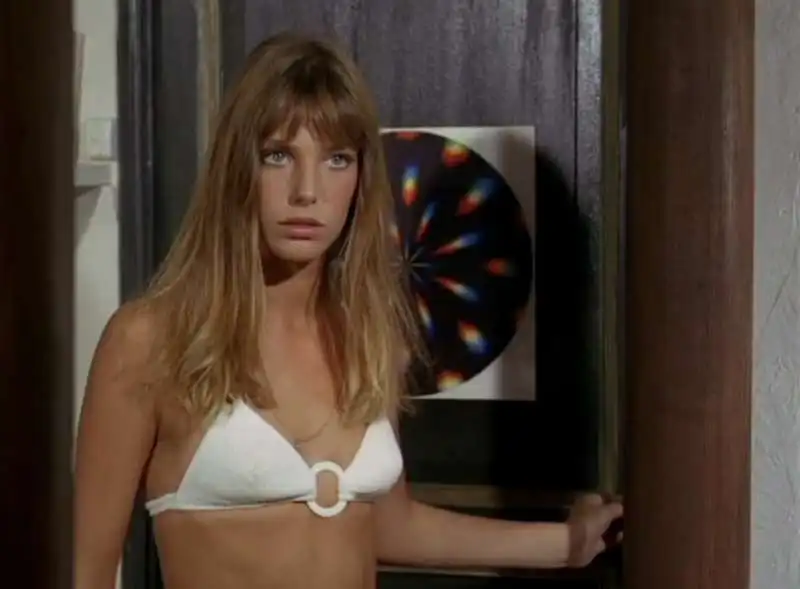 jane birkin   la piscina  