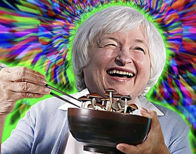 janet yellen consuma funghi allucinogeni in cina meme 1