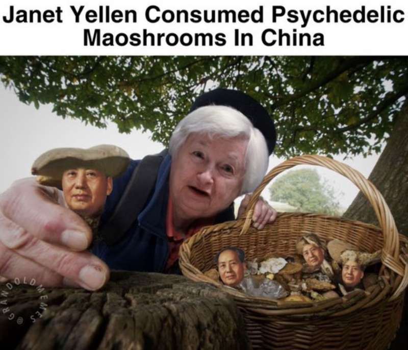 janet yellen consuma funghi allucinogeni in cina meme 2