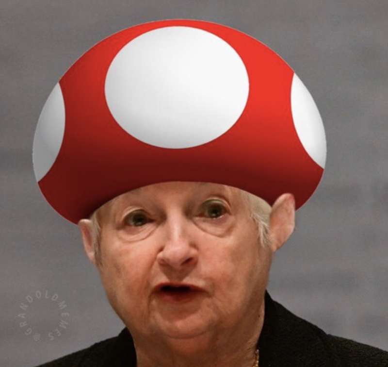 janet yellen consuma funghi allucinogeni in cina meme 3