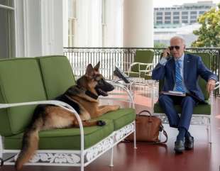 joe biden con il suo cane commander