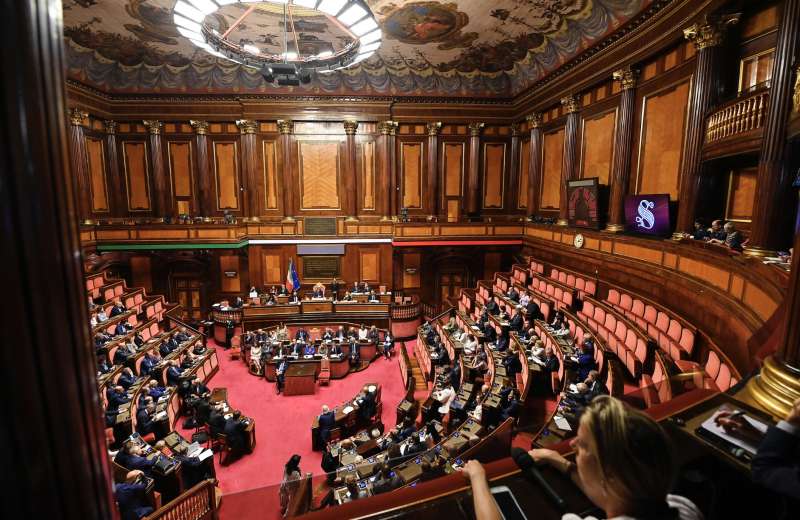 l aula del senato durante l informativa di daniela santanche