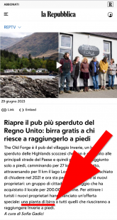 La Repubblica, una pianta di birra