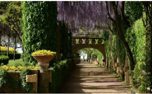 ravello villa cimbrone 45