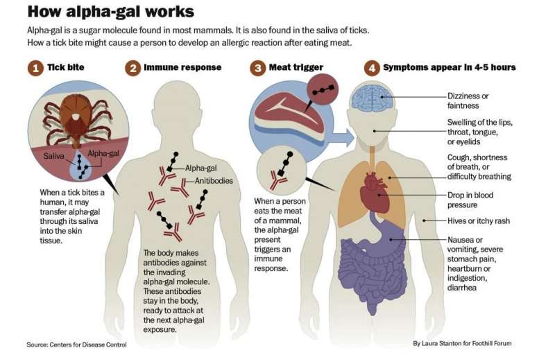 sintomi sindrome di alpha gal 2