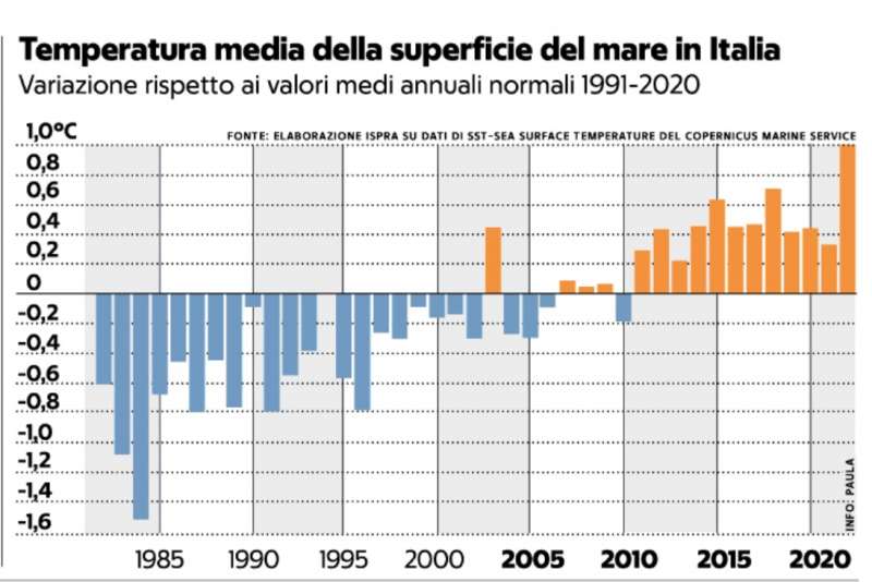 TEMPERATURA MEDIA DELLA SUPERFICIE DEL MARE IN ITALIA