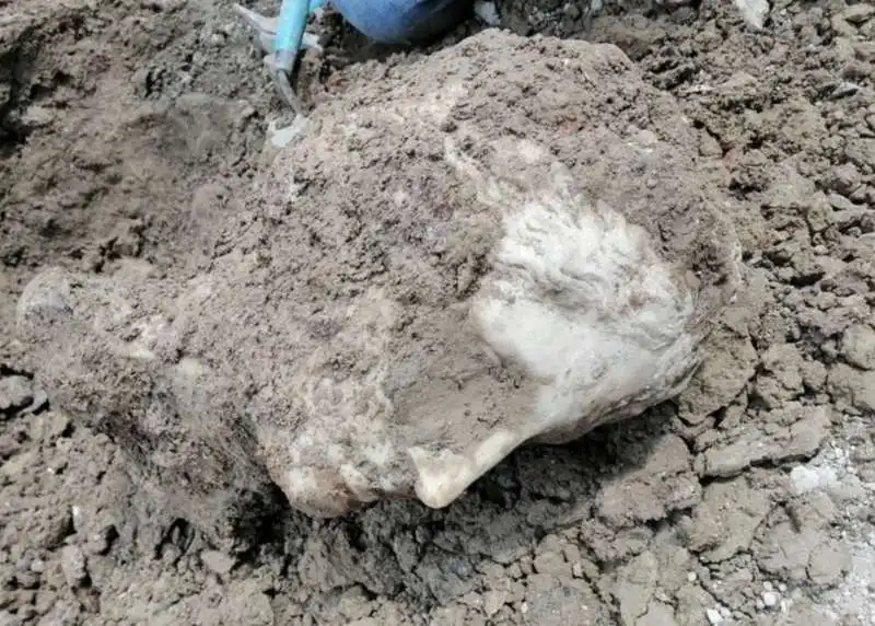 testa di marmo ritrovata a piazza augusto imperatore, a roma   10